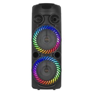 Ailiang Kolav-F2805 (8"x2) Speaker