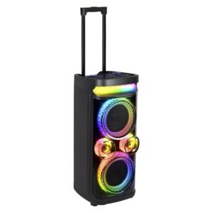 Ailiang Kolav D2618 (6.5"x2) Speaker